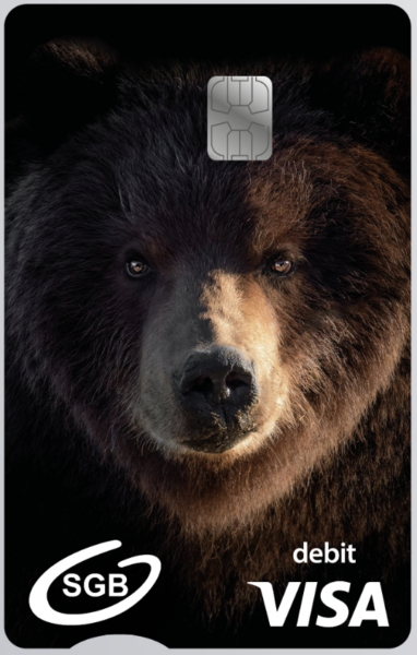 Karta do konta-Brunatny niedźwiedź na czarnym tle i logo VISA