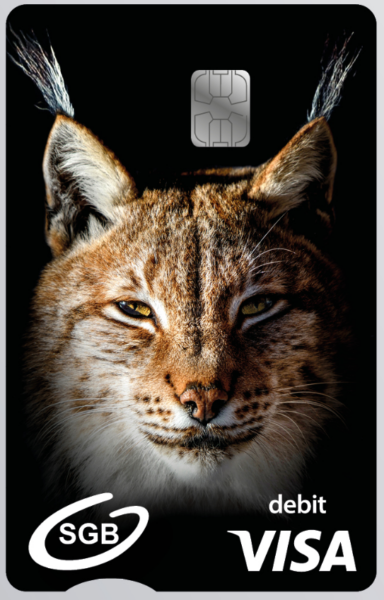 Karta debetowa do konta- Rudawy ryś na czarnym tle i z logo VISA w prawym dolnym rogu.