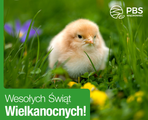 Wesołych Świąt!